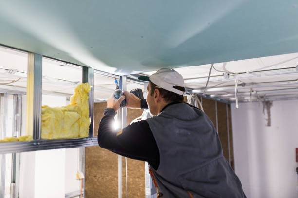 Best Geographic-Specific Insulation Services in Hansville, WA